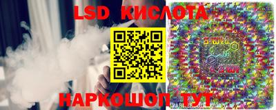 индика Гусь-Хрустальный