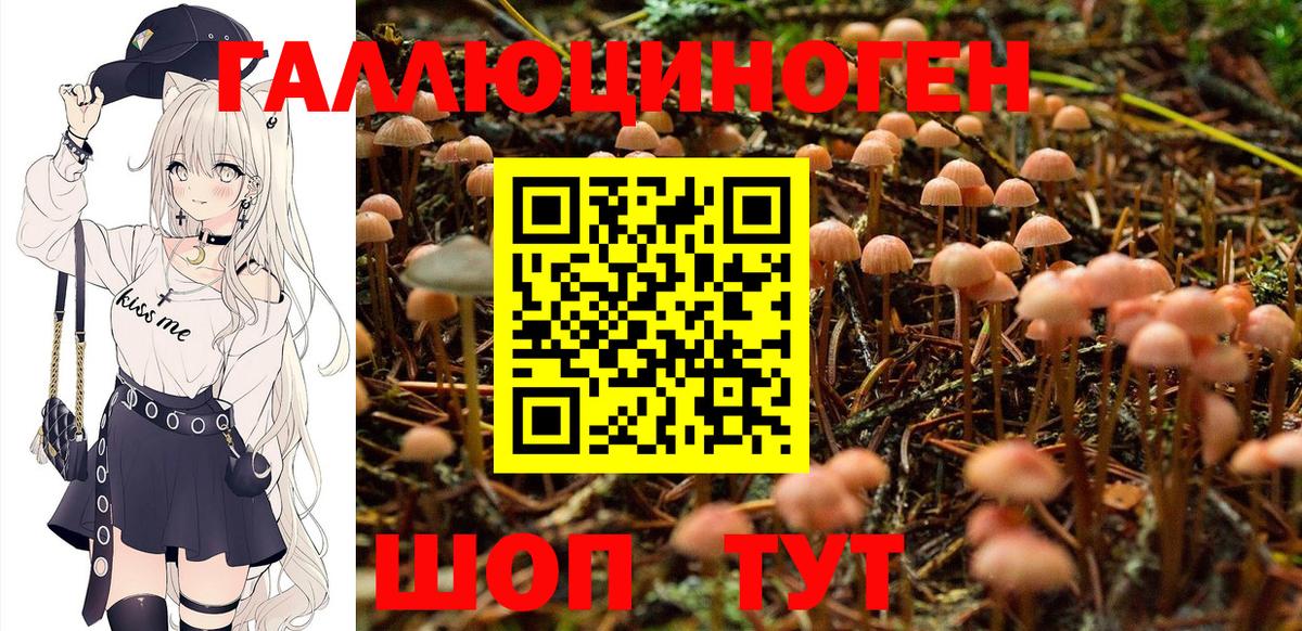 Псилоцибиновые грибы прущие грибы Шелехов